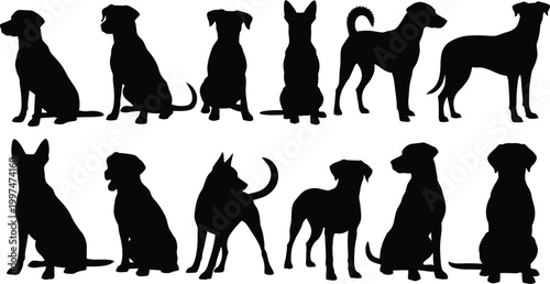 Silhouettes of various dog breeds a collection of canine profiles