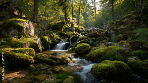 forest waterfall cascading over moss covered rocks, warm sunlight rays filtering through green trees