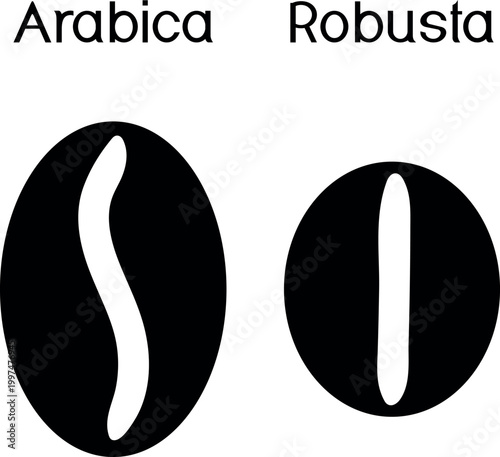 Comparison of Arabica and Robusta Coffee Bean Shapes (Coffea arabica, Coffea canephora)