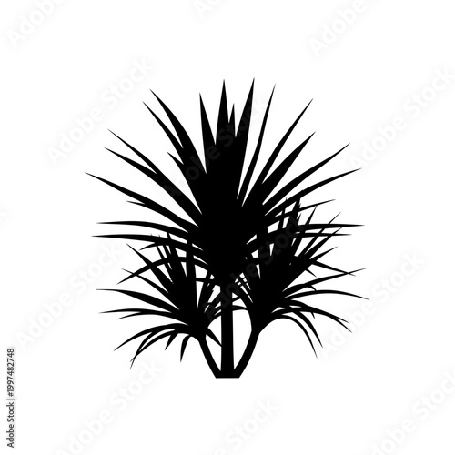 Silhouette of a spiky plant with sharp leaves, a striking black and white image.
