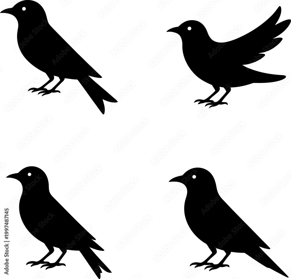 Obraz premium Bird Silhouette Set Black Minimalist Flying and Perching Bird Collection