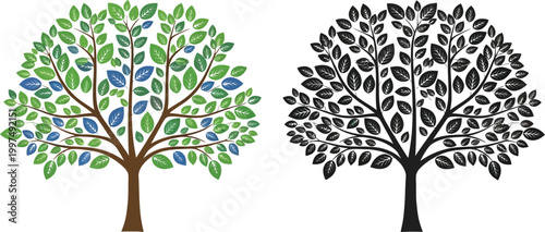 Abstract representation of a colorful tree and its silhouette isolated on a white background