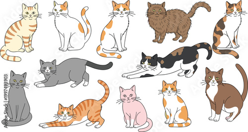 Cat breeds illustration set vector. Cute domestic cats collection in different poses. Various colorful kittens, playful pet characters, flat style animal design pack.