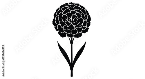 Carnation flower silhouette vector illustration in black with elegant floral shape for wedding branding decor and modern botanical design use