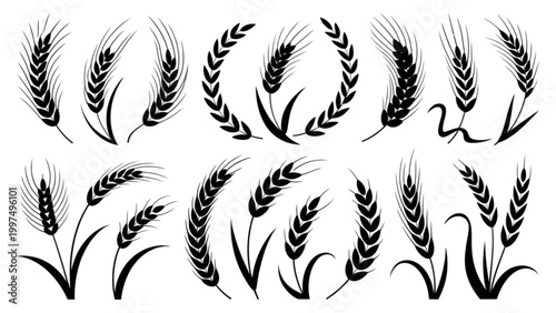 Collection of elegant laurel leaf swags and garlands in black and white Vector