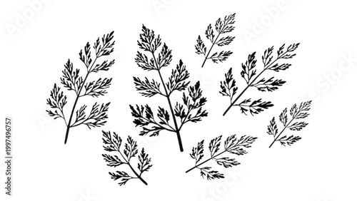 Minimalist black and white abstract tree branches and leaves illustration Vector