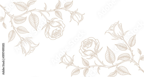 Subtle floral border design with elegant hand-drawn rose outlines and leaves creating a delicate frame for various uses Vector Illustration.