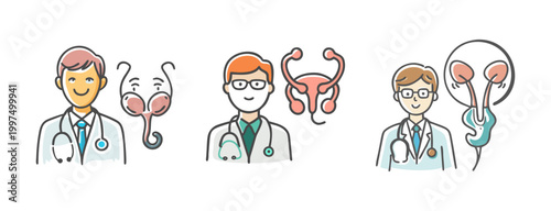 Urologist doctors with anatomical illustrations of reproductive and urinary systems