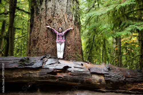 Tourist MacMillan Provincial Park Forest Grove Vancouver Island