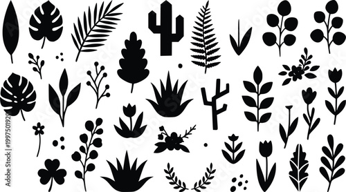 Tropical leaves and cactus vector silhouette set with monstera fern and succulent plant icons on white background