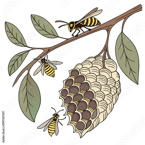 A detailed illustration of a wasp nest hanging from a tree branch with wasps flying around it