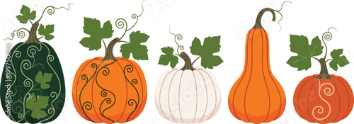 Set of Decorative Pumpkins in Different Shapes and Colors for Fall Season