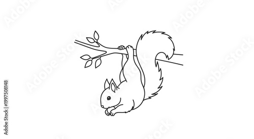 Cute Squirrel Hanging Upside Down on a Branch, Wildlife Illustration