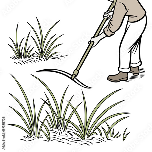 Man using sickle to cut grass cutting gardening