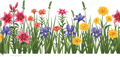 Colorful garden flowers border with lilies, irises and marigolds, blooming floral meadow grass arrangement isolated on light background realistic vector illustration
