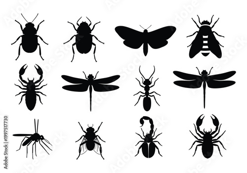 Set of black insect silhouettes including beetles dragonfly ant scorpion and various flying bugs for design