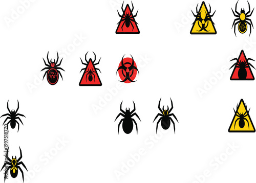 Vector Illustration Set of Spider Web Construction Stages and Silk Cocoons Featuring Intricate Cobweb Patterns and Arachnid Egg Sacs for Nature Education