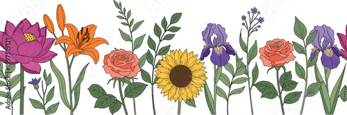 Elegant garden flower border with sunflower lily iris rose and wildflowers hand drawn vector illustration isolated botanical horizontal composition