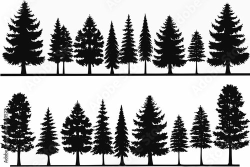 pine tree silhouettes in two rows on white background high quality