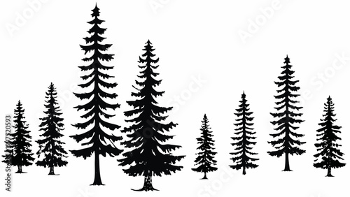 series of coniferous evergreen tree silhouettes on white background high quality
