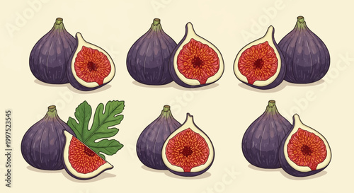 Detailed woodcut style illustration set of purple mission figs featuring whole fruits, sliced halves showing red fleshy pulp and seeds, and a single green lobed fig leaf.