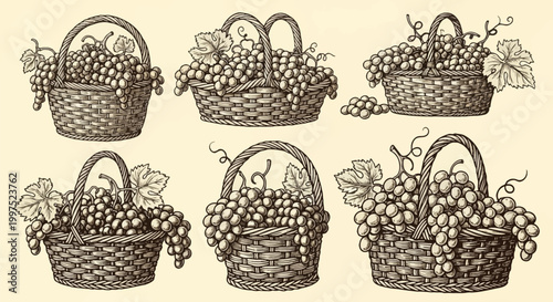 Vintage woodcut illustration set featuring six woven wicker baskets overflowing with ripe grape clusters and vine leaves, monochromatic hand-drawn etching style on neutral base.