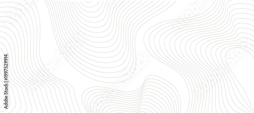 Intricate pattern of light, curving lines dance gracefully across the canvas. Evoking a sense of dynamic flow and minimalist elegance. 