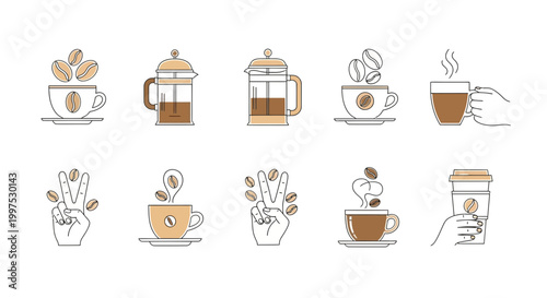 Coffee brewing process illustrated from bean to cup a step by step visual guide