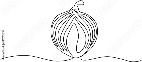 Cut onion with layers peeled back in simple line art Vector