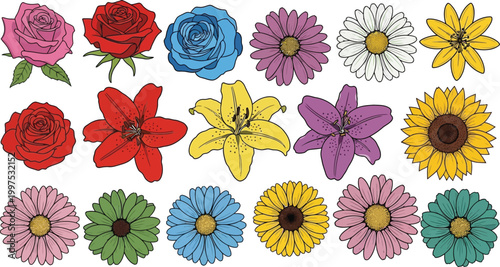 Collection of colorful illustrated flowers including roses, lilies, daisies, and sunflowers floral