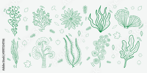 Hand Drawn Marine Coral and Seaweed Vector Illustration Set