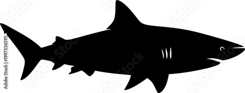 Black silhouette shark swimming on flat vector isolated on white background
