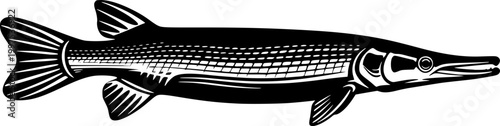 Black silhouette of a gar fish with white lines on body isolated on white background

