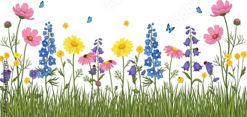 Beautiful Wildflower Meadow Border Featuring Colorful Daisies, Cosmos, Bluebells, and Delphiniums with Butterflies for Spring Nature Backgrounds and Floral Greeting Card Illustrations