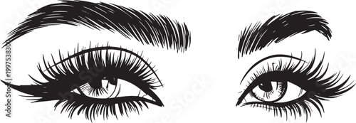 Beautiful woman eyes with long lashes and shaped eyebrows vector illustration