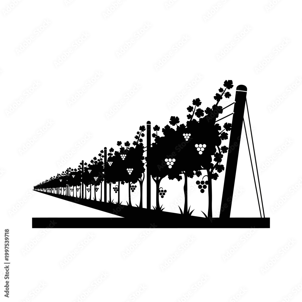Fototapeta premium Silhouette of a vineyard with rows of grapevines and supporting structures.
