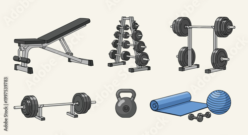 Assortment of fitness tools including a weight bench, dumbbell rack, barbells, kettlebell, exercise mat, and a yoga ball.