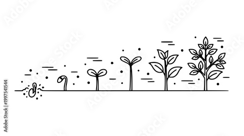 Simple line vector illustration showing stages of plant growth