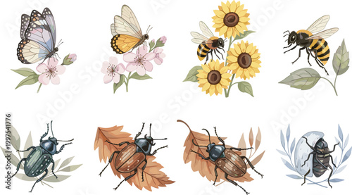 Four seasons insect vector collection with butterflies bees beetles flowers leaves and seasonal nature illustration set spring summer autumn winter