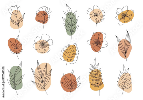 Abstract Botanical Line Art Illustrations and Floral CAD Elements for Design Projects