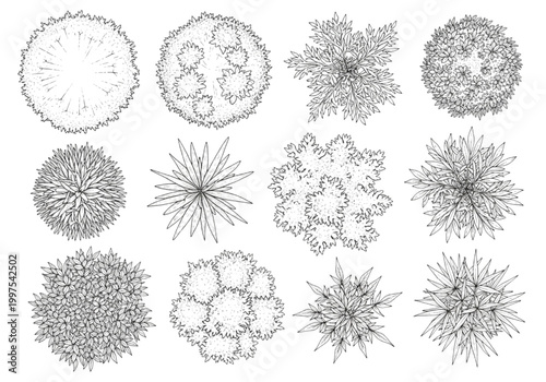 Collection of detailed CAD design elements featuring diverse top-view tree and plant illustrations, ideal for landscape architecture and urban planning projects requiring precision graphics