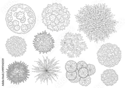 CAD blocks for architectural design top-view plant illustrations for landscape architects and urban planners