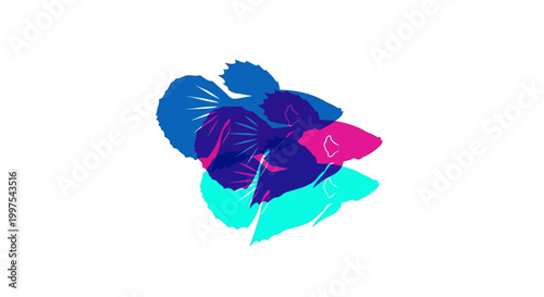 Abstract Betta Fish Overlap, Vibrant Blue, Pink, Cyan Colors, Minimalist Design