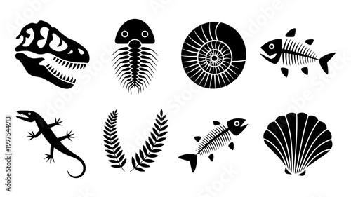 Fossil illustrations: dinosaur skull trilobite ammonite fish skeleton lizard fern fronds seashell