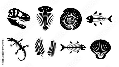 Fossil icons: dinosaur skull trilobite ammonite fish skeleton lizard ferns seashell with dinosaur, skeleton