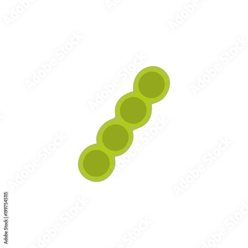 lactococcus Illustration 