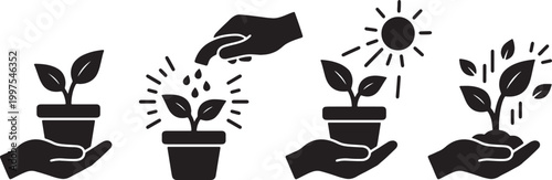 Four graphic icons illustrating the process of growing a plant from seed to sprout in hands
