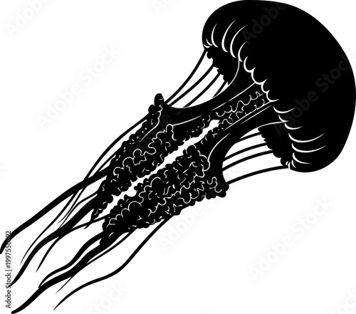 Graceful jellyfish silhouette swimming with long flowing tentacles