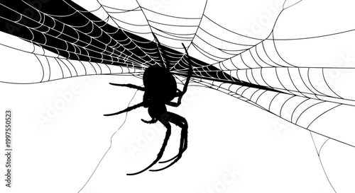 Large spider silhouette crawling on its intricate web