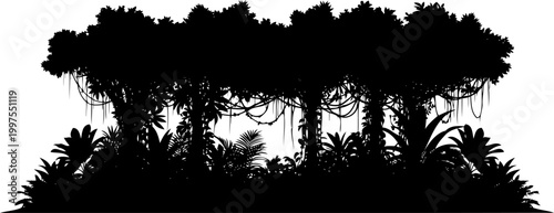 Tropical jungle treeline with dense exotic foliage